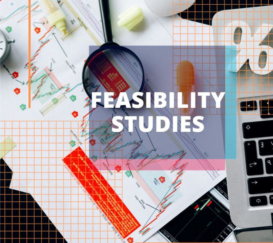 Feasibility Studies Services